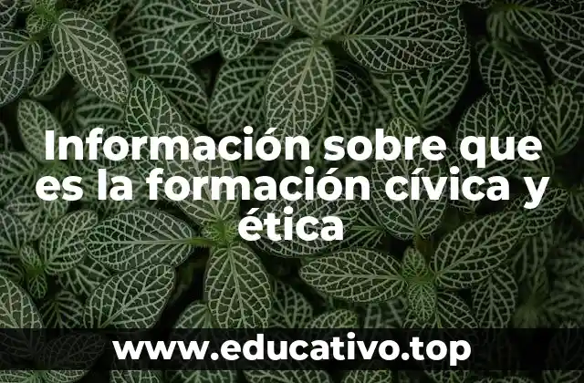 Información sobre que es la formación cívica y ética