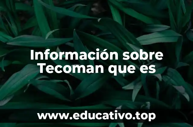 Información sobre Tecoman que es