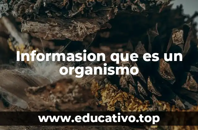 Informasion que es un organismo