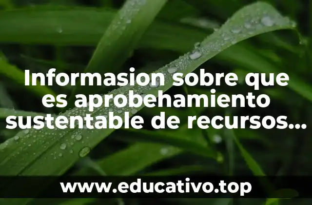 Informasion sobre que es aprobehamiento sustentable de recursos narturales