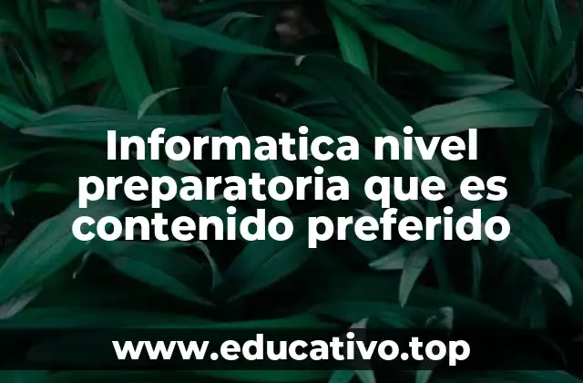 Informatica nivel preparatoria que es contenido preferido