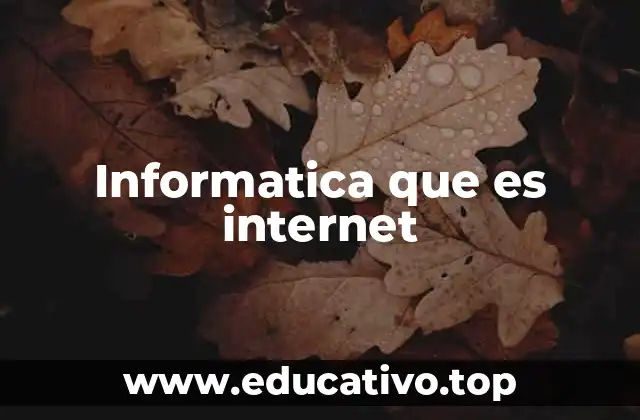 Informatica que es internet