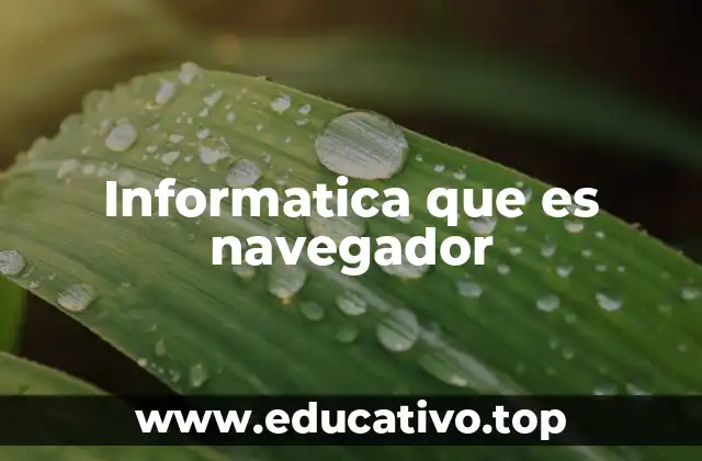 Informatica que es navegador
