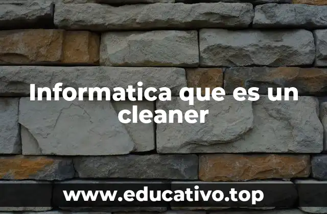 Informatica que es un cleaner