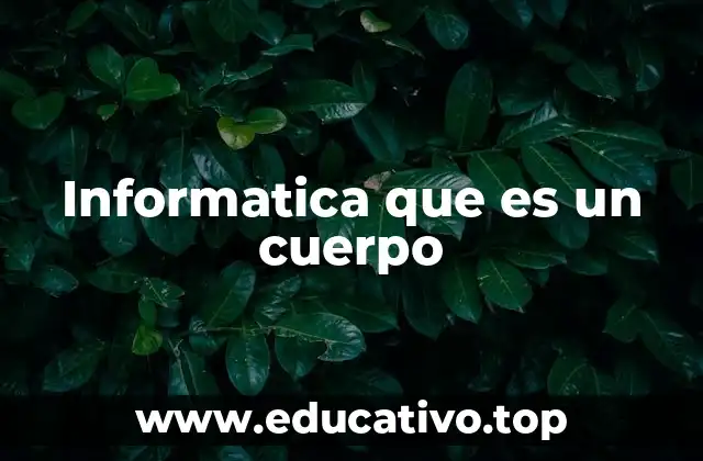 Informatica que es un cuerpo