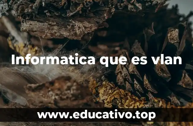 Informatica que es vlan