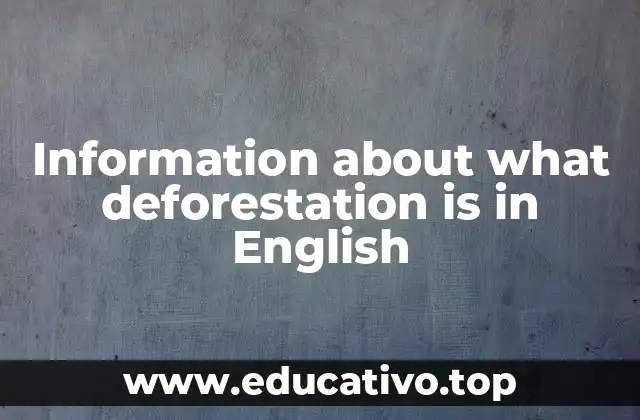 Information about what deforestation is in English