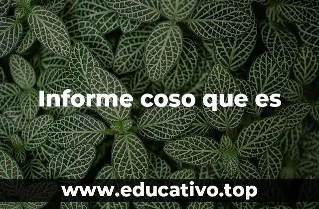 Informe coso que es