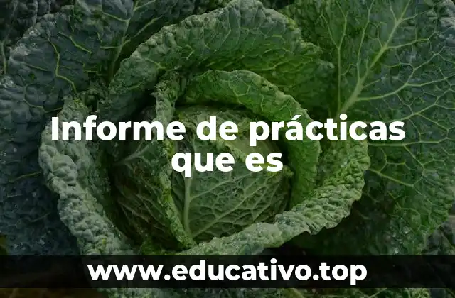 Informe de prácticas que es