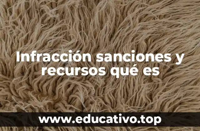 Infracción sanciones y recursos qué es
