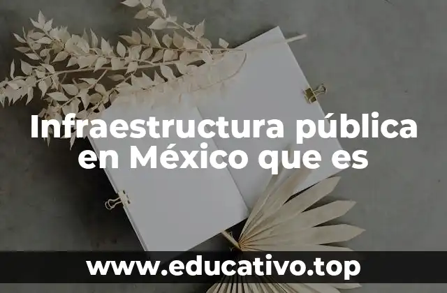 Infraestructura pública en México que es