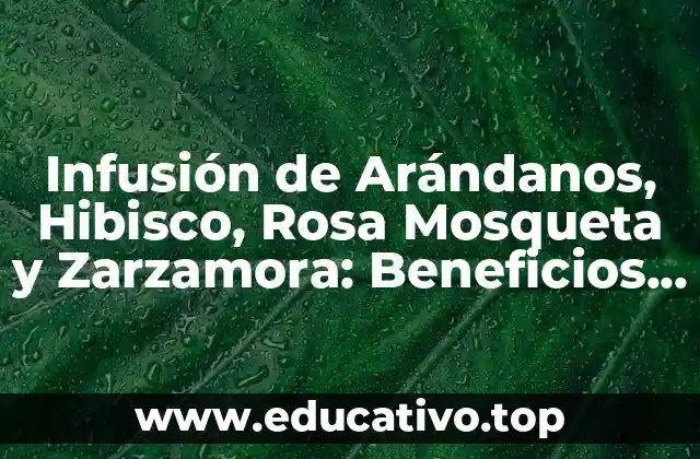 Infusión de Arándanos, Hibisco, Rosa Mosqueta y Zarzamora: Beneficios y Preparación