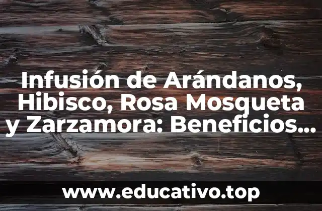 Infusión de Arándanos, Hibisco, Rosa Mosqueta y Zarzamora: Beneficios y Propiedades