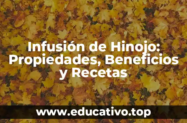 Infusión de Hinojo: Propiedades, Beneficios y Recetas