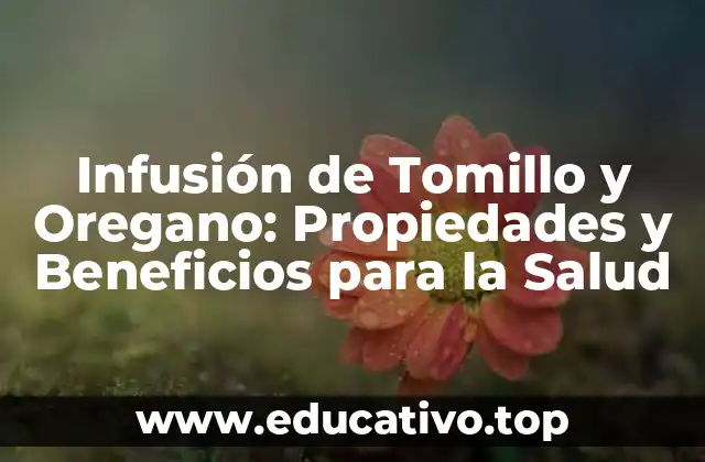 Infusión de Tomillo y Oregano: Propiedades y Beneficios para la Salud