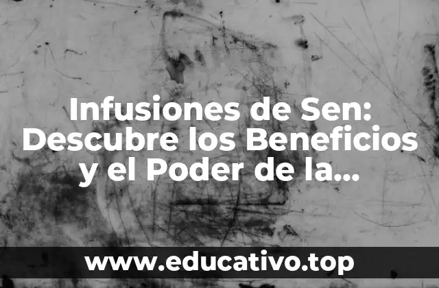 Infusiones de Sen: Descubre los Beneficios y el Poder de la Medicina Tradicional