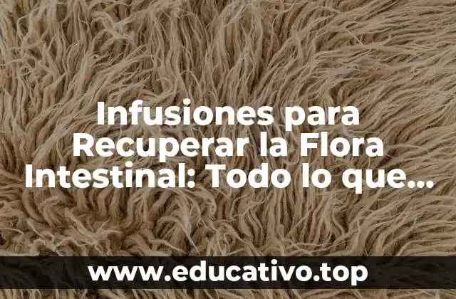 Infusiones para Recuperar la Flora Intestinal: Todo lo que Necesitas Saber