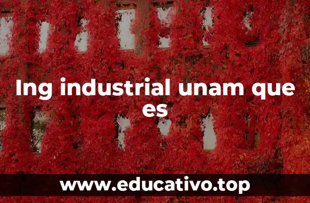 Ing industrial unam que es