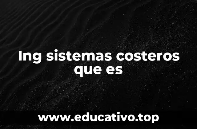 Ing sistemas costeros que es