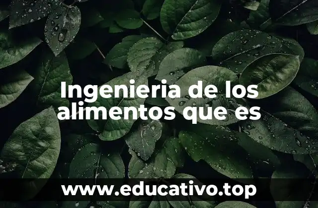 Ingenieria de los alimentos que es