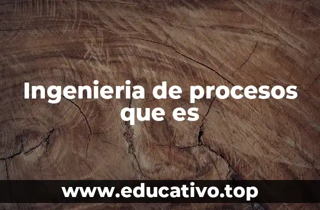 Ingenieria de procesos que es