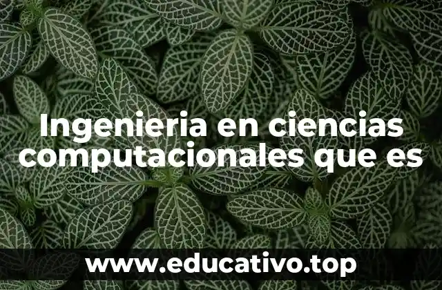 Ingenieria en ciencias computacionales que es