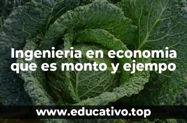 Ingenieria en economia que es monto y ejempo