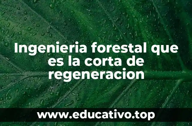 Ingenieria forestal que es la corta de regeneracion