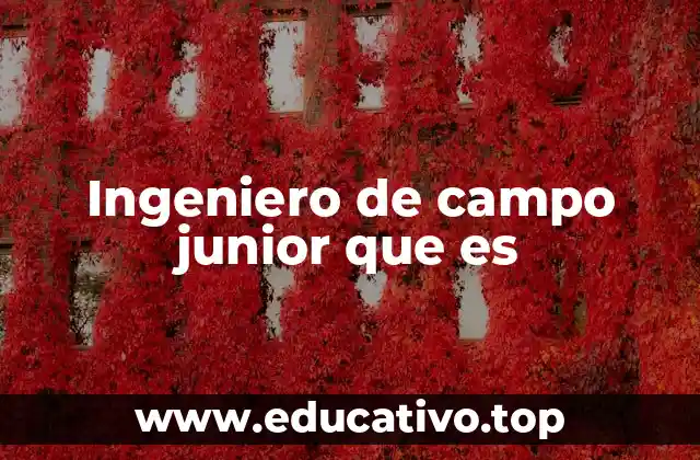 Ingeniero de campo junior que es