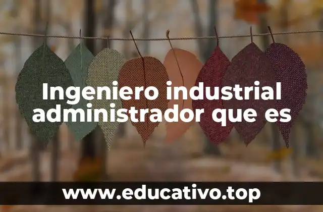 Ingeniero industrial administrador que es