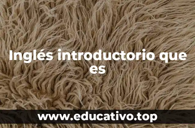 Inglés introductorio que es
