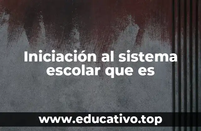 Iniciación al sistema escolar que es