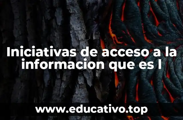 Iniciativas de acceso a la informacion que es l