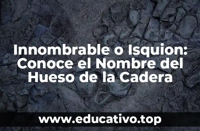 Innombrable o Isquion: Conoce el Nombre del Hueso de la Cadera