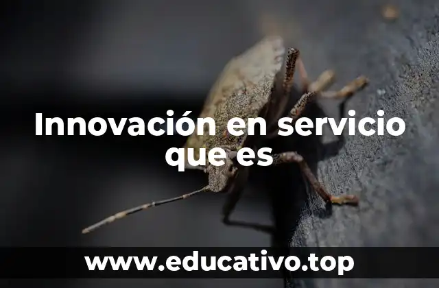 Innovación en servicio que es
