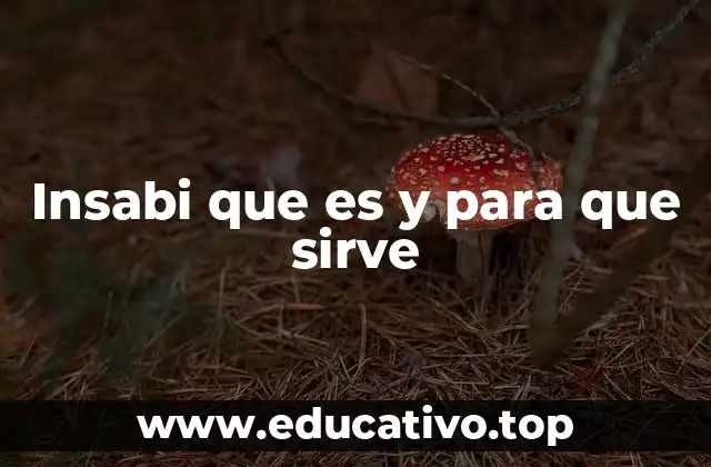 Insabi que es y para que sirve