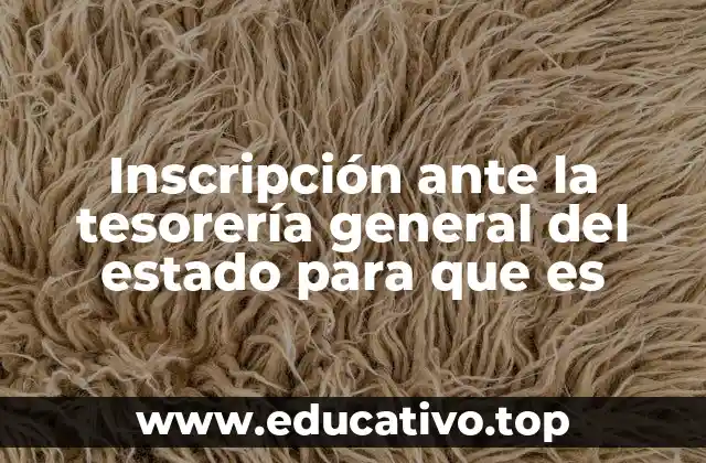 Inscripción ante la tesorería general del estado para que es