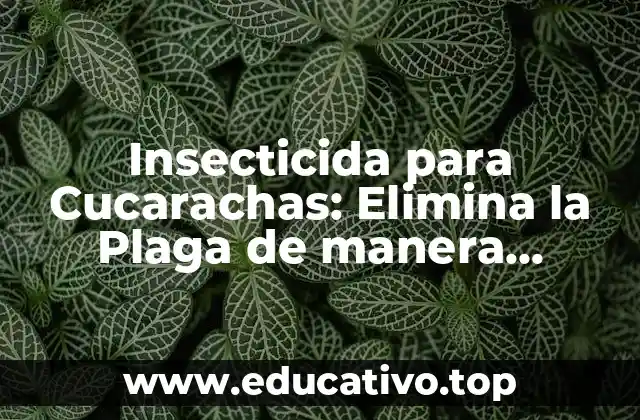 Insecticida para Cucarachas: Elimina la Plaga de manera Efectiva