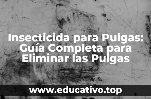 Insecticida para Pulgas: Guía Completa para Eliminar las Pulgas