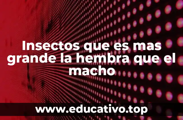 Insectos que es mas grande la hembra que el macho