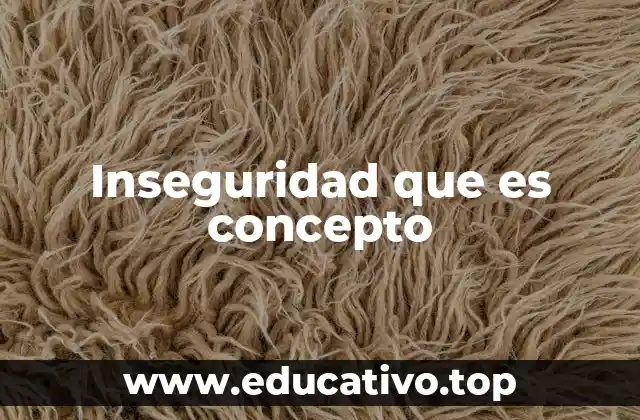 Inseguridad que es concepto