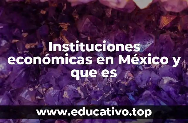 Instituciones económicas en México y que es