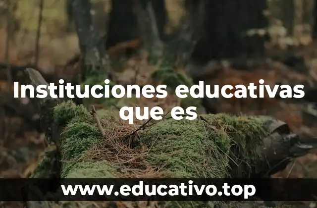 Instituciones educativas que es