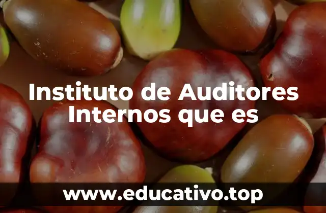 Instituto de Auditores Internos que es