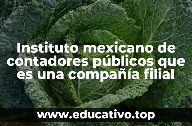 El papel del IMCP en el ecosistema profesional contable