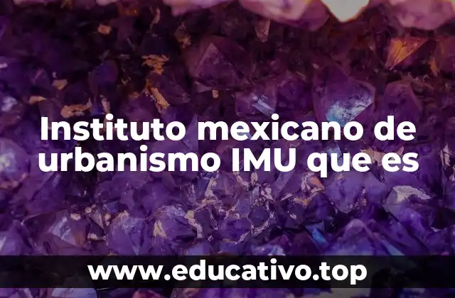 Instituto mexicano de urbanismo IMU que es
