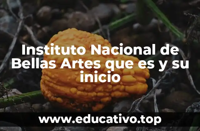 Instituto Nacional de Bellas Artes que es y su inicio