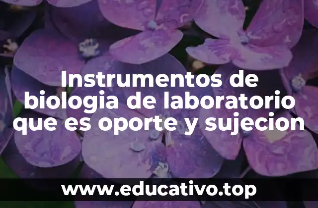 Instrumentos de biologia de laboratorio que es oporte y sujecion