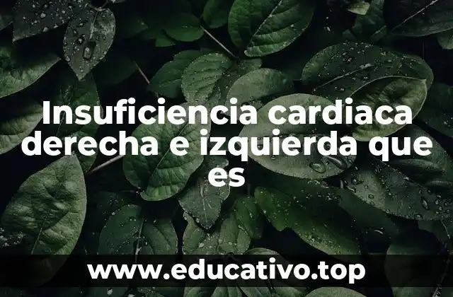 Insuficiencia cardiaca derecha e izquierda que es