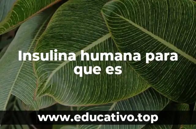 Insulina humana para que es